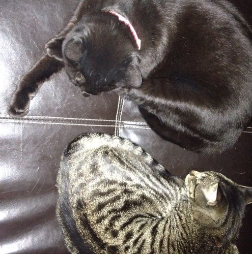 applejessp's profile picture. 