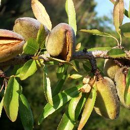 #Ingeniería y Consultoría especializada en la #Eficiencia de los #Recursos y la #Optimización de Procesos en Empresas Agroalimentarias. #Sostenibilidad