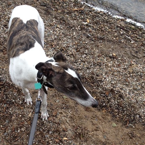 leebennie's profile picture. 