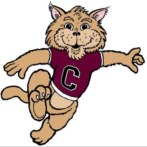 The official account of Chico State Athletics regarding Chico State athletic events and promo days. Follow on Instagram @WildcatsGameday