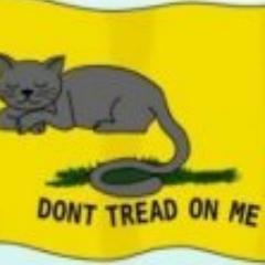 lovingfreedom's profile picture. Liberty, Austrian Economics, North Carolina Campaign Director for Ron Paul 2012. Fan of Maybury's Two Laws. LOVE your FREEDOM!