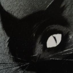 Las palabras son solo indicaciones que orientan hacia el sitio donde más calienta el sol::no son el gato mismo entibiado por sus cálidos rayos.