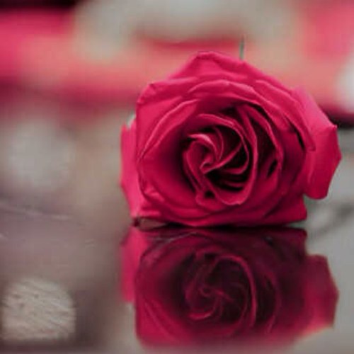 boqassim77's profile picture. 