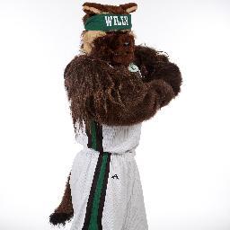 WillyWolverine0's profile picture. The official twitter site for Utah Valley University's mascot, Willy the Wolverine.
