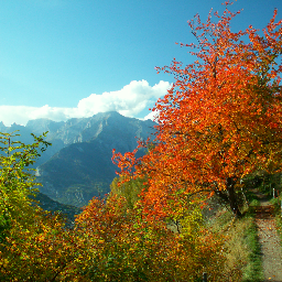 SLaurent70's profile picture. 