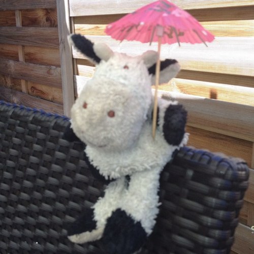 dites44's profile picture. médecin généraliste/addicto. Passions addictions et contraceptions.