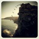 fatima shareef - @fatimashreef - Twitter