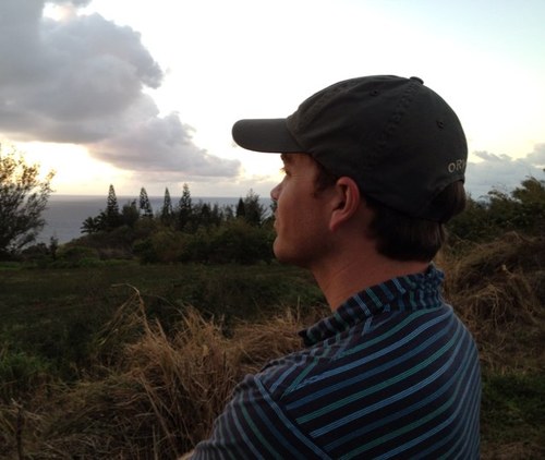 donnesting's profile picture. 