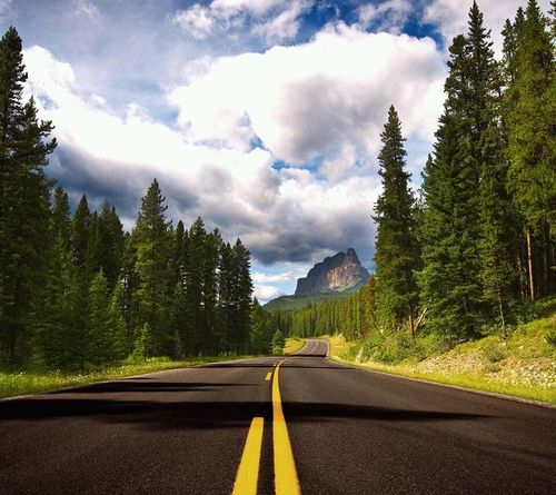 Pisces2411's profile picture. 