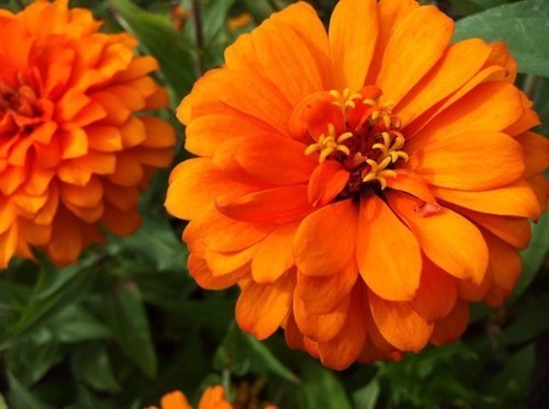 Aicra's profile picture. Mompreneur,who reviews children’s books,apps and designs websites; I’m a child/parent advocate,loves gaming with her kids,enjoys cooking and loves gadgets.