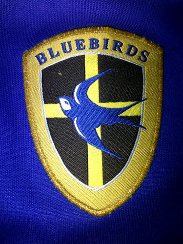 Cardiff city till i die!!!  If u want follow me!!! Life is full ov ups and downs!! U must get up to fall down!! #freetheweed#followhowardmarks(mrnice)
