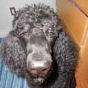 Allan McGregor - @mcgregor_allan - Twitter