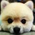 hehe (@omni_teamcore) Twitter profile photo hehe (@omni_teamcore) Twitter profile photo