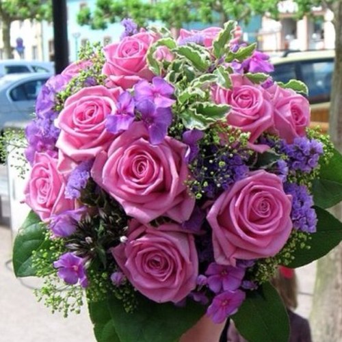 Med Student / Love flowers / Photography / strong willed