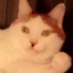 猫好きな裏町猫背（ｳﾗﾏﾁ ﾈｺｾﾞ）がお贈りする　ゴロニャ～オの世界感。勝手気ままに日常のｺﾄをﾈｺの目線からお贈りできたらと思っております。写真は僕の親愛なる猫です。20年間一緒に暮らしました。
https://t.co/zz7OdoehWq
