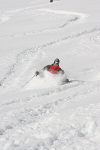 brianjames05's profile picture. 