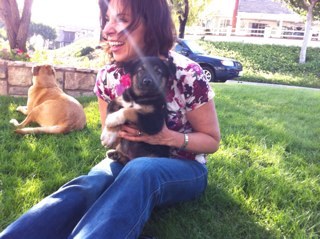 coolscience's profile picture. Chemistry teacher, hiker, reader and crafter.