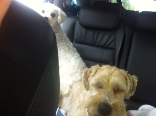 Lthielemann's profile picture. 