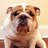 schonz711's profile image