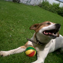 Ciarán Mac Sweeney - @ciaranbingo - Twitter