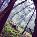 todd pitt - @hillpeopl - Twitter