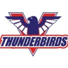 VanTBirds Midget AA