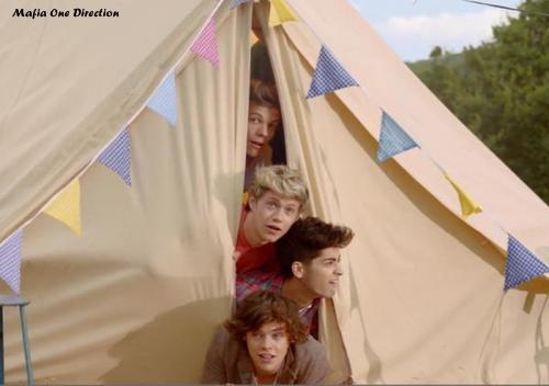 CdMeusOvarios1D's profile picture. 2 Directioners que seguem todos de volta! 3