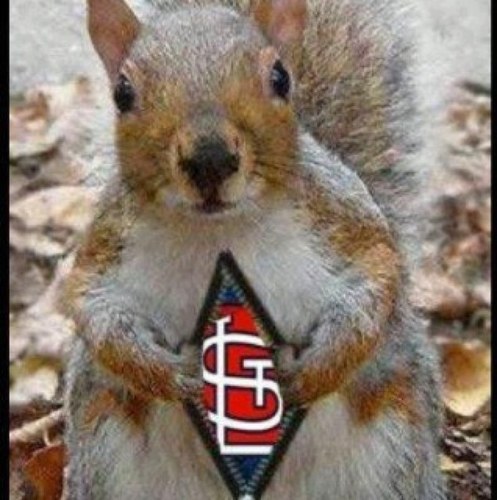 foreflan's profile picture. 