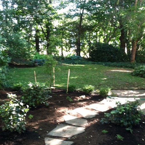 hansarose's profile picture. 