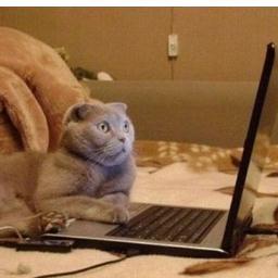 ICT Pro of 15 yrs+, fun photographer, like anime & PC games. Run a biz & consult in IT security! NEXT?