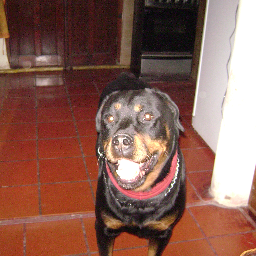 emi216's profile picture. 