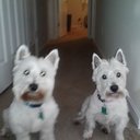 pam melton - @melton_pam - Twitter