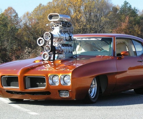 Wylly_sanchez's profile picture. 