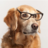 alankhoanguyen's profile image
