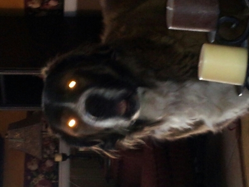 OnlyMIO's profile picture. 