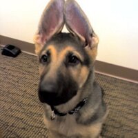 Thor (@thor_prince09) 's Twitter Profile