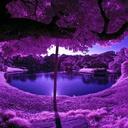 Debra Herbert - @ddjatpeace - Twitter