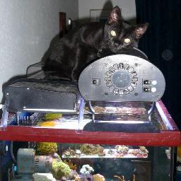 reeftronics's profile picture. Saltwater Aquarium Enthusiast