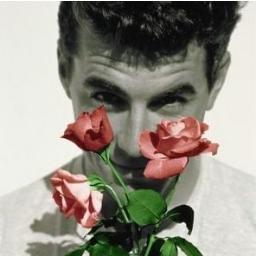 - Romântismo irônico, humor inteligente, safadeza com delicadeza, tentativa de cafajestismo, tudo isso e mais um pouquinho.