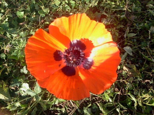 kristiwpc77's profile picture. 