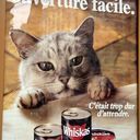 Walter Perry - @WalterPerry4 - Twitter