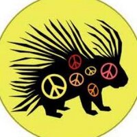 GinaAS (@ginaas) 's Twitter Profile Photo