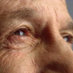 Idoso_Disque100's profile picture. Respeito ao idoso: Amor ao passado, dignidade ao futuro.
Projeto contra a violência ao idoso - M1.1 - Colégio Ari de Sá Cavalcante - Washington Soares