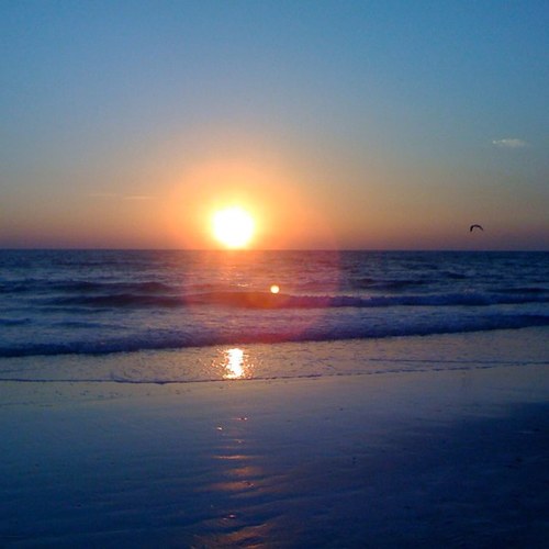 kimcurran's profile picture. 