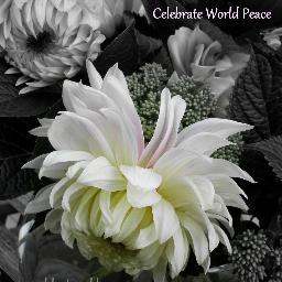 Art, Vision, Ambassadorship and Action for World Peace
Avatar Image ©SianGlobal