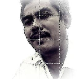 zunelfi's profile picture. 