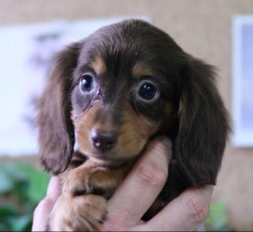 happymodeling's profile picture. のぞみんです。よろしくお願いします!