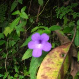 Gilma1290's profile picture. estudiante