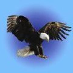 FlyAbovePACS's profile picture. Fly Above Performing Arts Charter School, prospective school Joliet, IL. We are developing an arts-integrated program to accommodate preK-8.