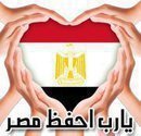 Port Said International Schools Director